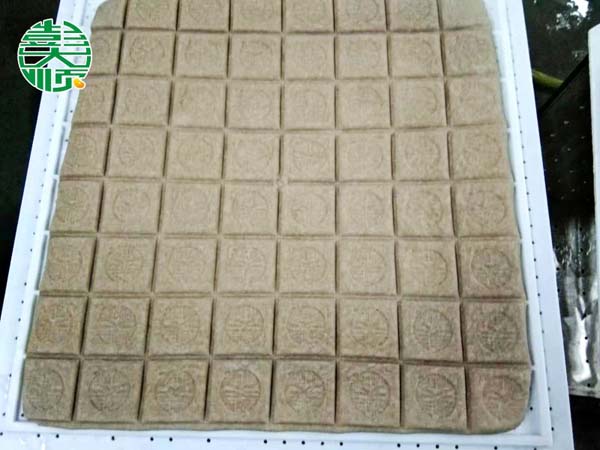 焦作豆製品加工設（shè）備生（shēng）產出來（lái）的豆製品產品展示