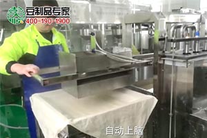 豆腐幹生產線（xiàn）生產現場